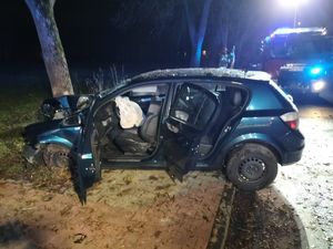 rozbity pojazd osobowy, który uderzył w drzewo.