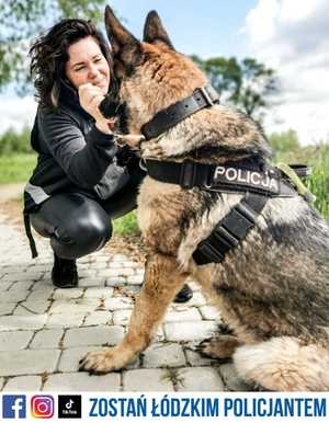 policyjny pies służbowy ze swoim przewodnikiem, pies ma założone szelki policyjne z napisem policja, zdjęcie zrobione w plenerze. Pod zdjęciem napis o treści Zostań Łódzkim Policjantem.