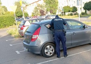 policjant sprawdza wnętrze pojazdu.