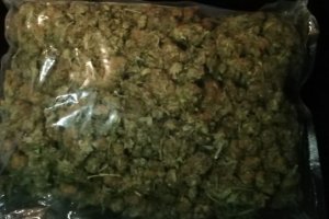 zabezpieczone narkotyki, susz roślinny spakowany w torebkę foliową