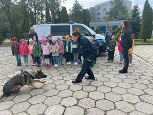 pokaz przewodnika psa służbowego dla grupy przedszkolnej na placu komendy policji w Bełchatowie