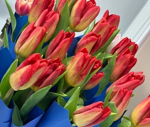 bukiet tulipanów.