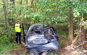 policjant na miejscu wypadku drogowego, wykonuje oględziny rozbitego pojazdu który stoi w zaroślach po uderzeniu w drzewo.