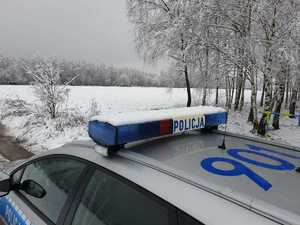 widok sygnału dachowego radiowozu z napisem policja dalej teren polny i leśny pokryty śniegiem.