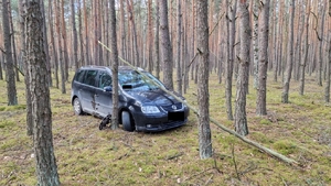widok samochodu marki Volkswagen, który stoi w lesie pomiędzy drzewami.