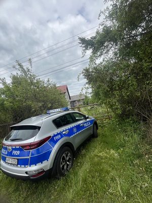 Radiowóz zaparkowany w terenie zielonym.