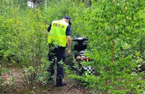 Policjant ogląda motorower w zaroślach.