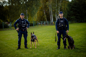 Policjanci z psami służbowymi.