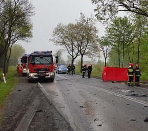 policjanci i strażacy na miejscu wypadku, widać drogę , radiowozy i wozy strażackie