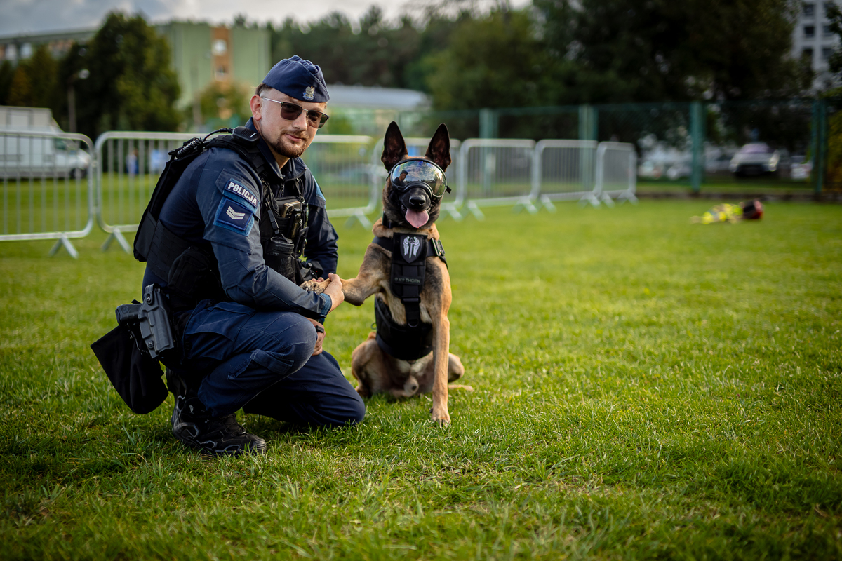 Policjanci z Bełchatowa na Pikniku Stowarzyszeń: stoisko i pokaz psa służbowego Aresa